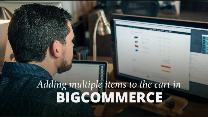 Top 10 Ecommerce Marketing Platforms For Your Online Business 5 bigcommerce developers