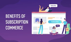 The Ultimate Guide to Subscription E-commerce 2024